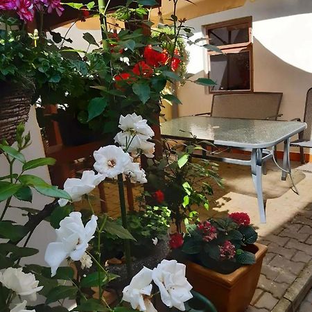 U Pani Malirky Valtice Exterior foto