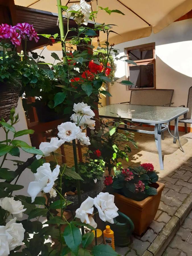 U Pani Malirky Valtice Exterior foto