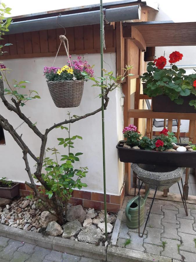 U Pani Malirky Valtice Exterior foto